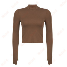 classy brown long sleeve turtle neck